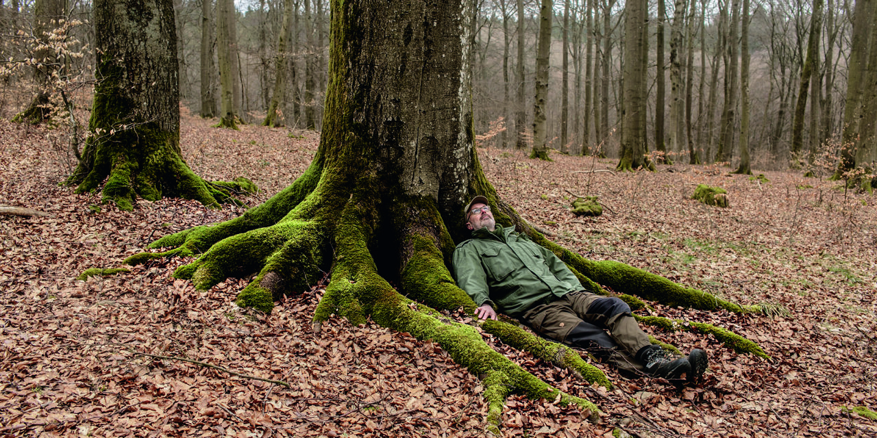 The Hidden Life of Tree